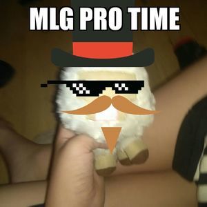 Meet your Posher, Samuel